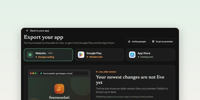 Export your app: the Website card with Publish, next to Google Play and App Store.